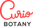 CURIO BOTANY